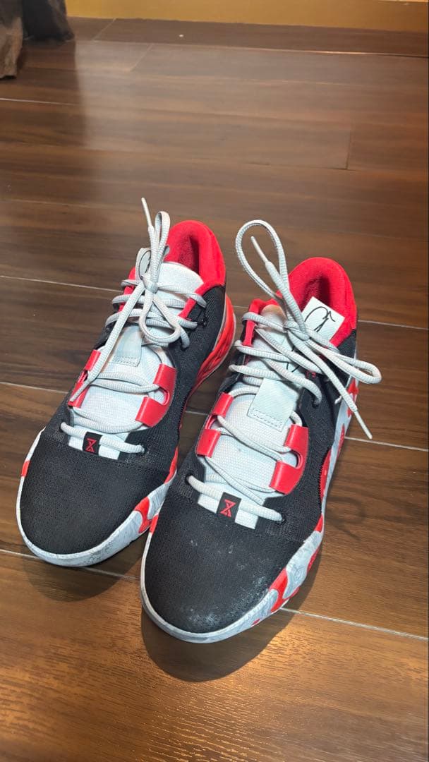 シューズ(男性用) PG6 EP