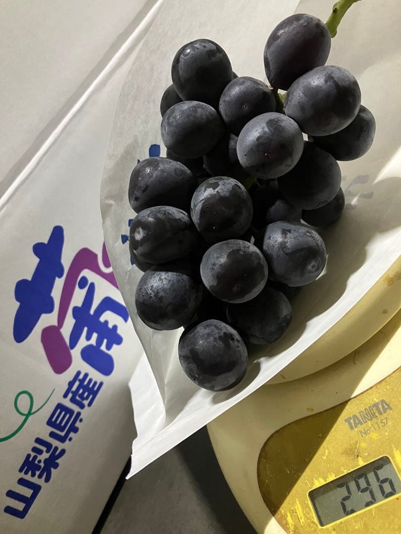 サンシャインレッド、富士の輝き、マスカットノアール、マイハートシャインマスカット