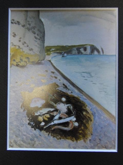 アンリ・マティス(Henri Matisse)、【大きな断崖，魚】