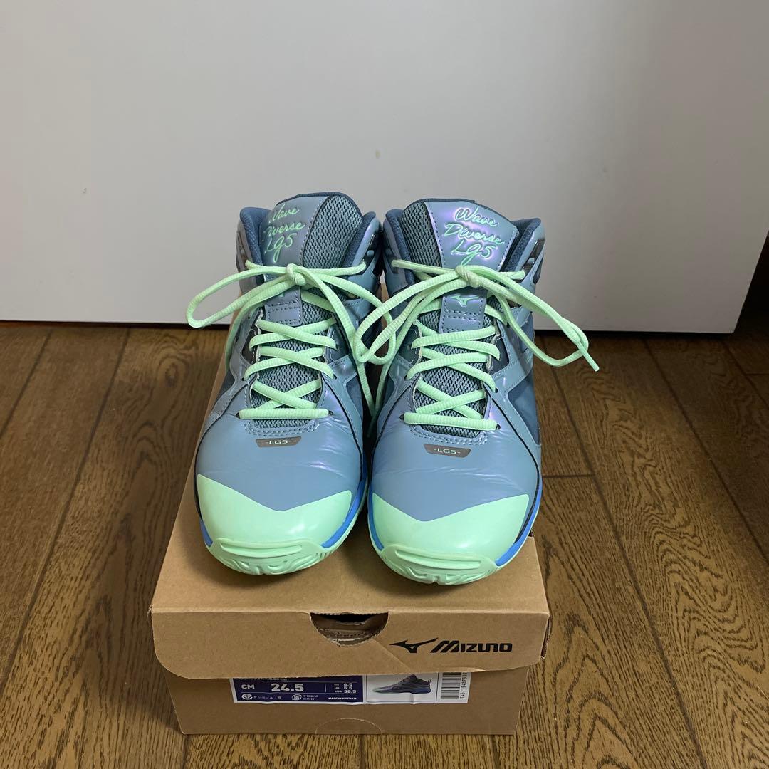 ウェブダイバースLG5Ltd