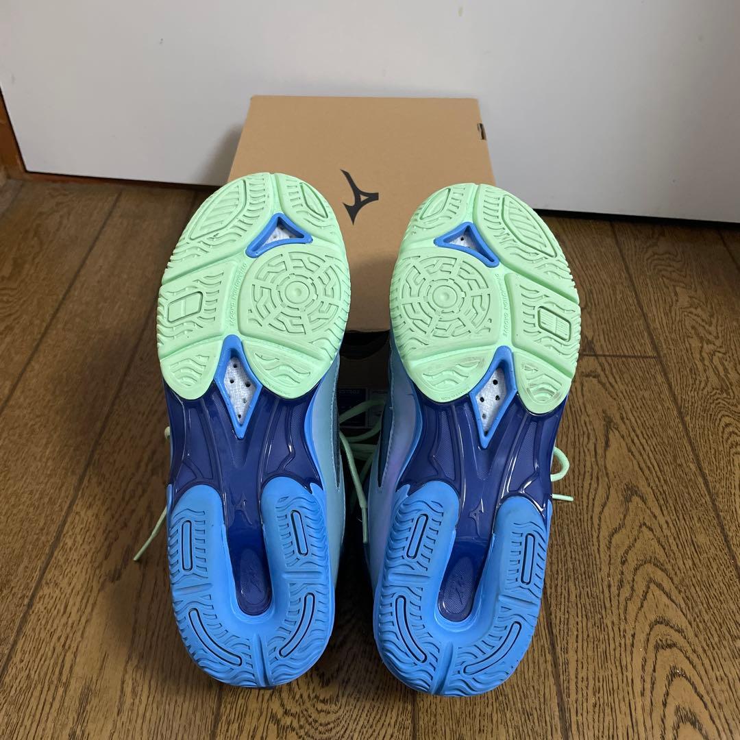 ウェブダイバースLG5Ltd