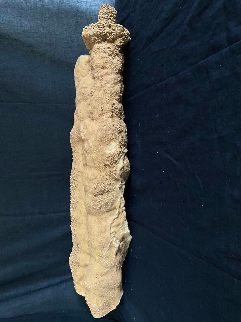 鍾乳石(石柱)６５cm１６.２kg