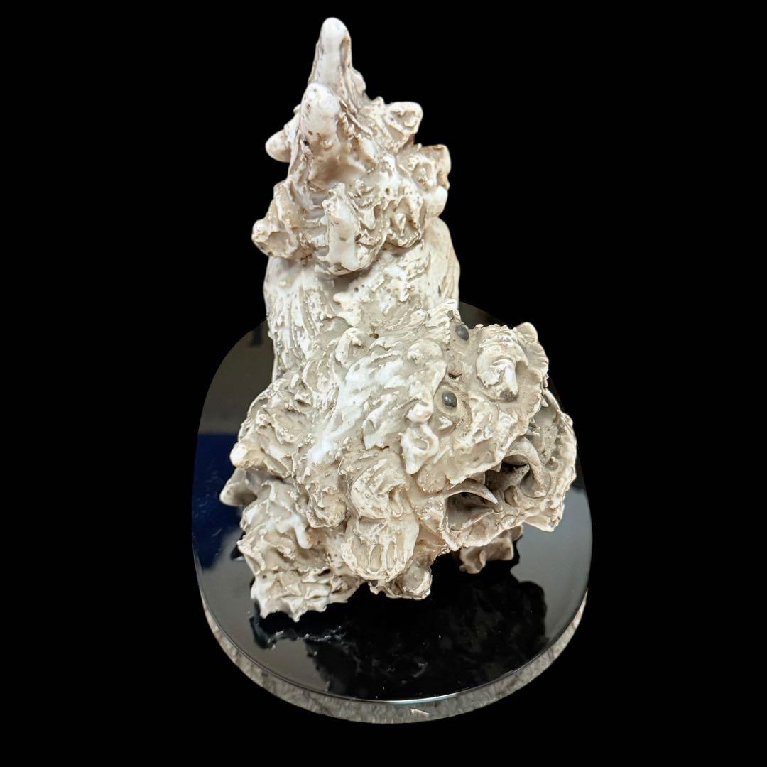 【レア】瀬戸焼 獅子陶器 大日窯　星合信令作 シーサー 骨董 台付き