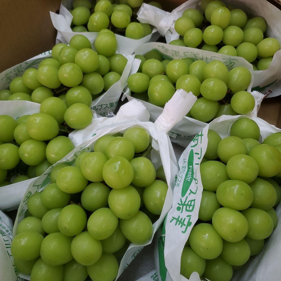 1⃣2️⃣ 山梨県産 シャインマスカット ９房入り 箱込み5.3キロ