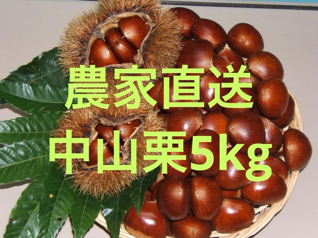幻の栗⭐︎中山栗2L~4L混合5kgクール便（匿名不可）農家直送2025-021