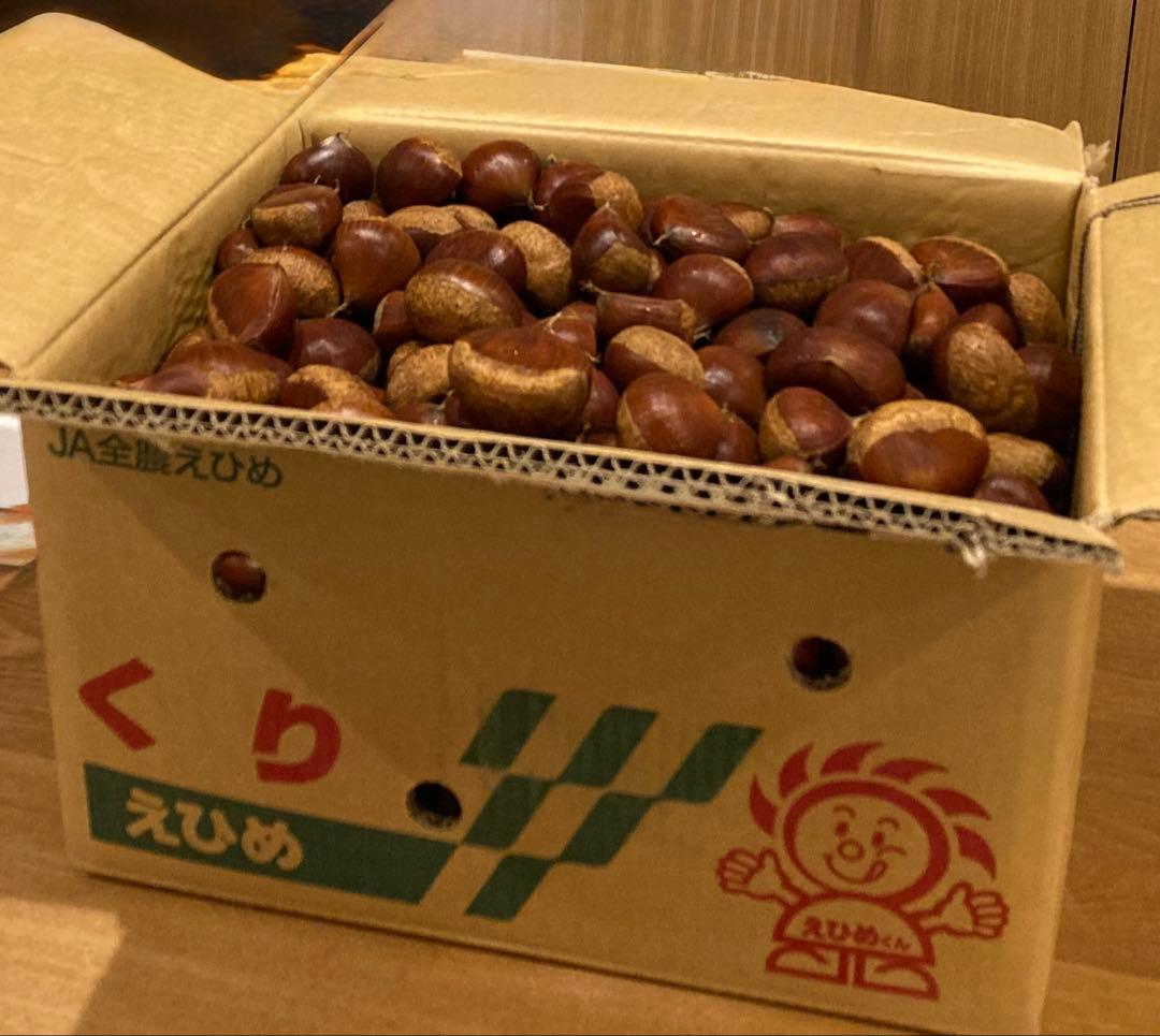 幻の栗⭐︎中山栗2L~4L混合5kgクール便（匿名不可）農家直送2025-021