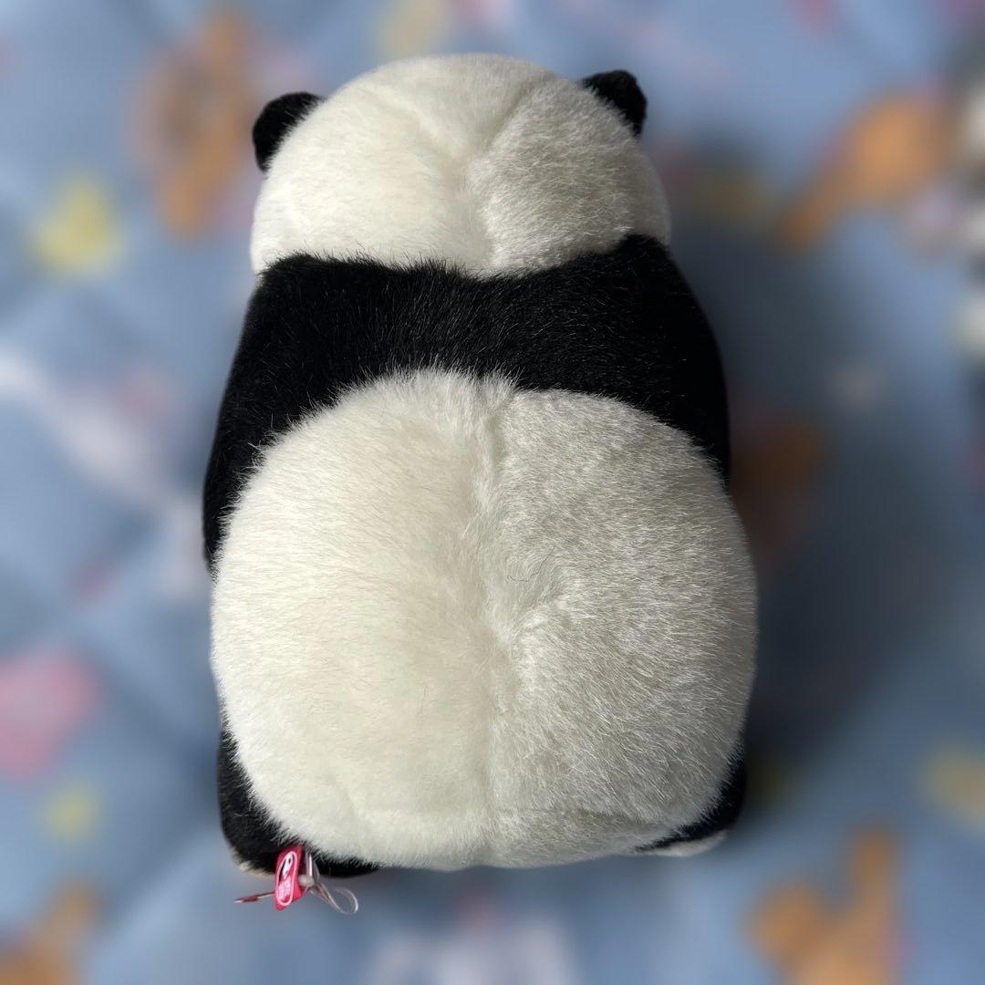 箱入りシャンシャン