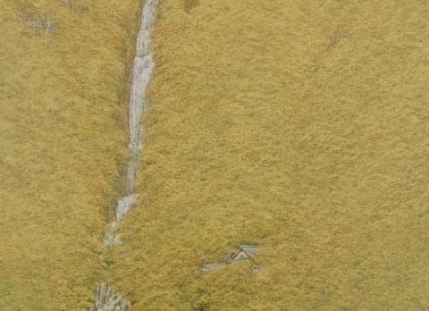 岩澤重夫、【瀧聲】、希少な額装用画集より、新品額装付、状態良好