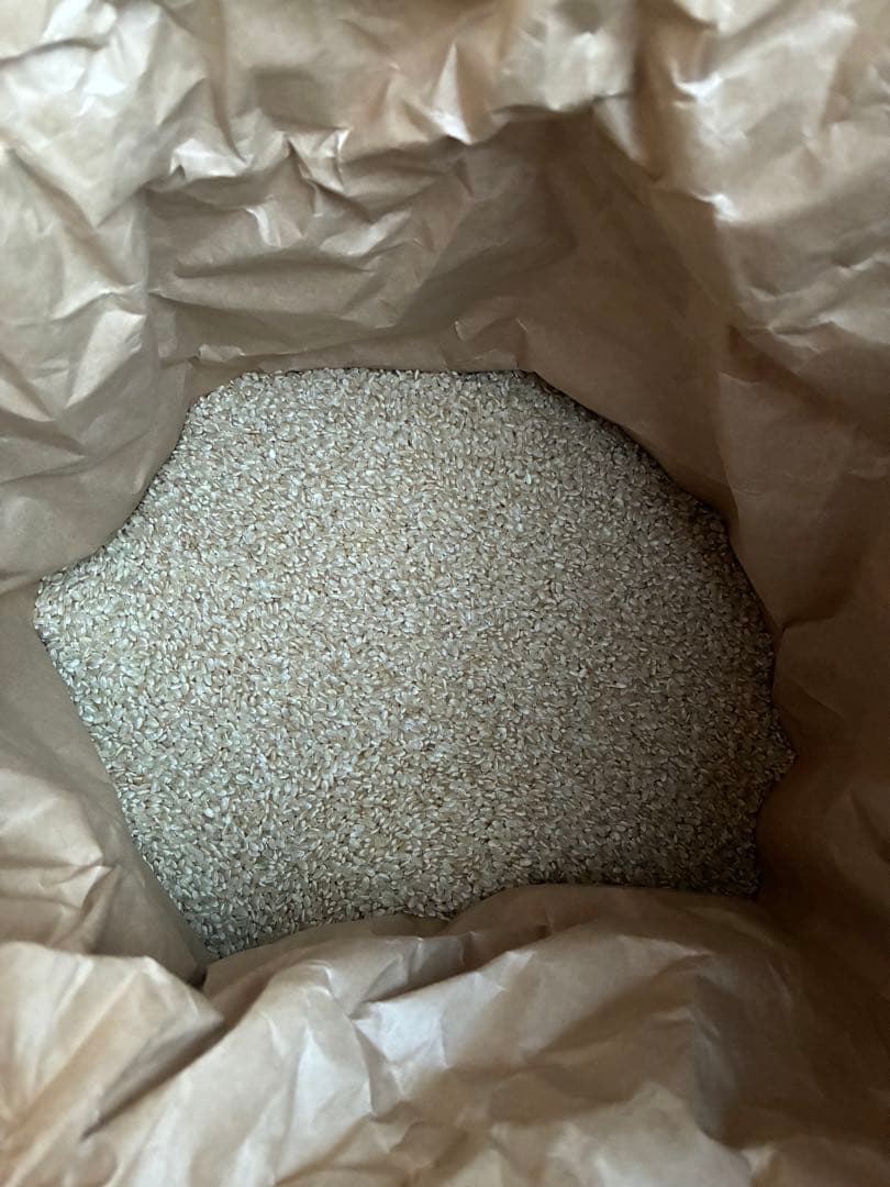 令和6年産 栃木県産コシヒカリ【玄米】箱込30キロ送料無料♪