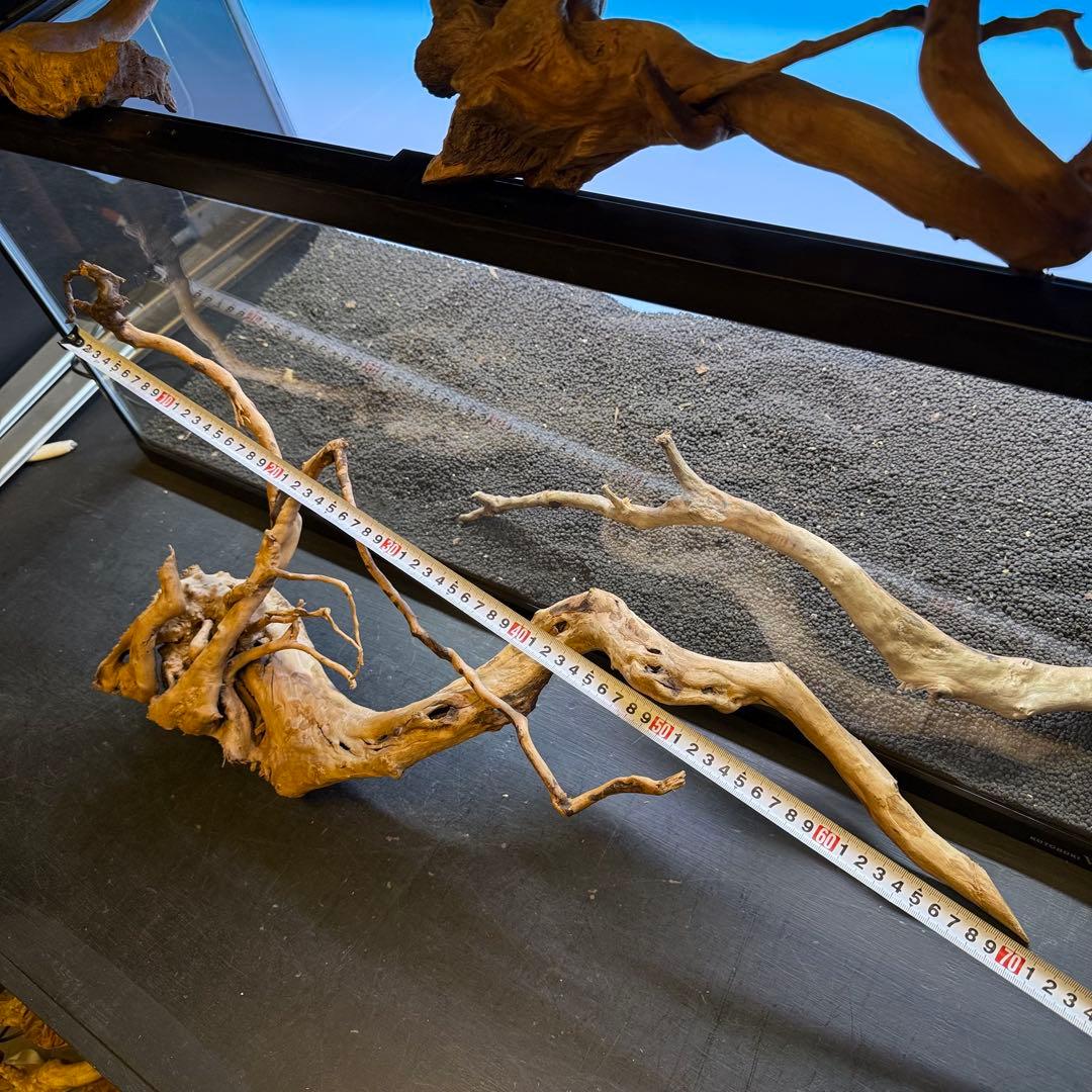 MDW-7223 ブランチウッドレイアウトセット　90cm水槽用流木　枝流木