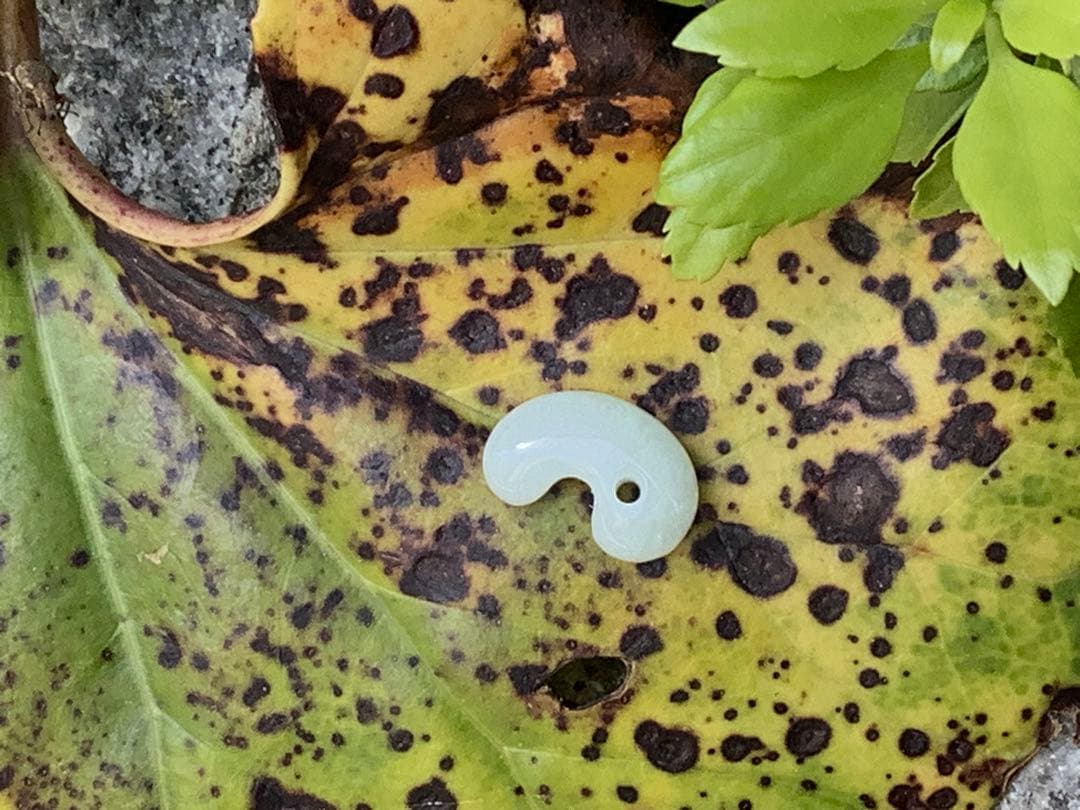 ✳純白氷肌‼️無垢の極上物　糸魚川翡翠勾玉　安価8800円卸し売り‼️ 鑑定鑑別書付