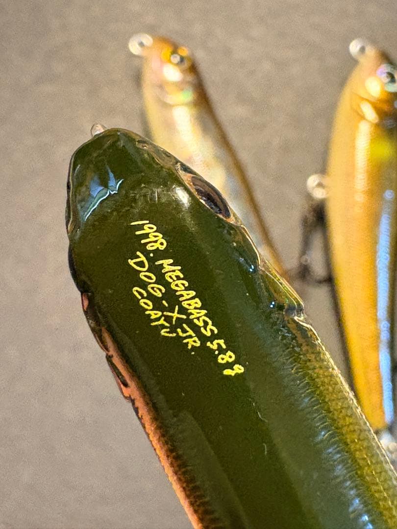 【MEGABASS】COAYU、POP-X など6個セット