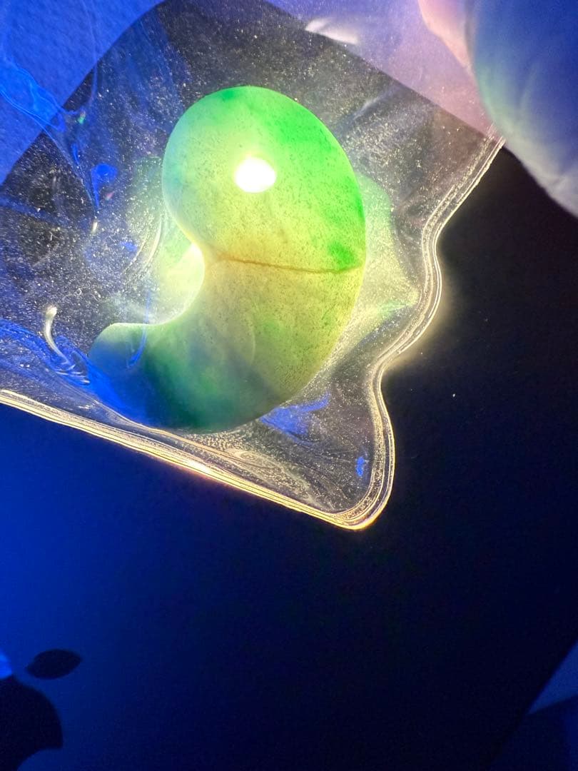 糸魚川翡翠‼️勾玉‼️大変に美しい絶品‼️芸術的‼️ 透光抜群‼️破格出品‼️13.1g