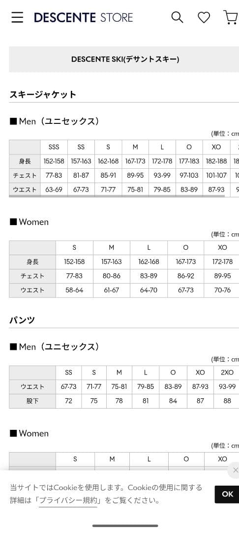 デサント SIO コンセプト　スキーウェア　美品　大きめサイズ　XO