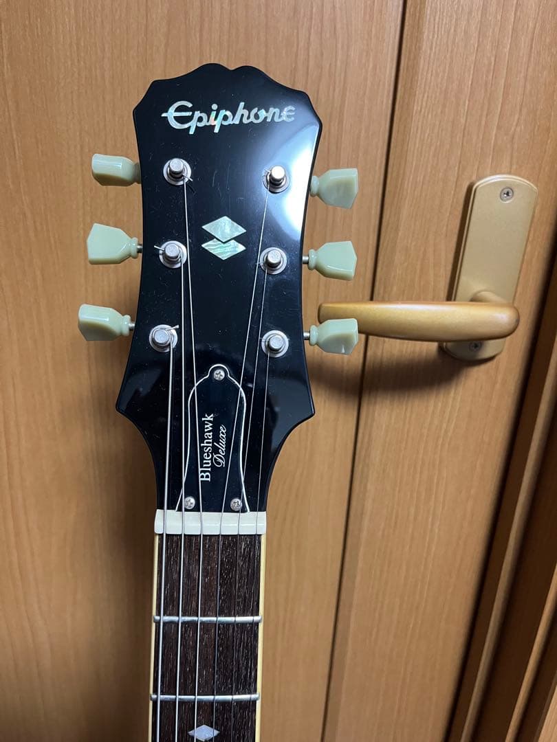 限定出品 レア Epiphone Blueshawk Nighthawk