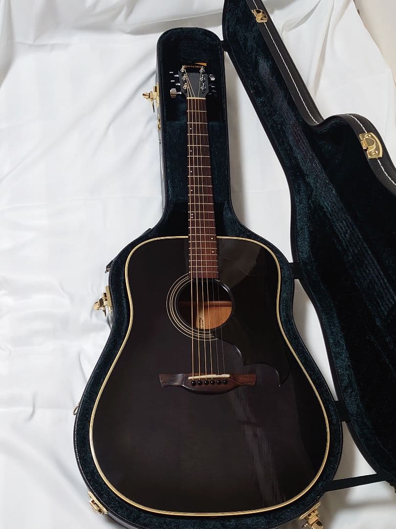 【エレアコ仕様】HISTORY NT-L4 L.R.Baggsピックアップ付