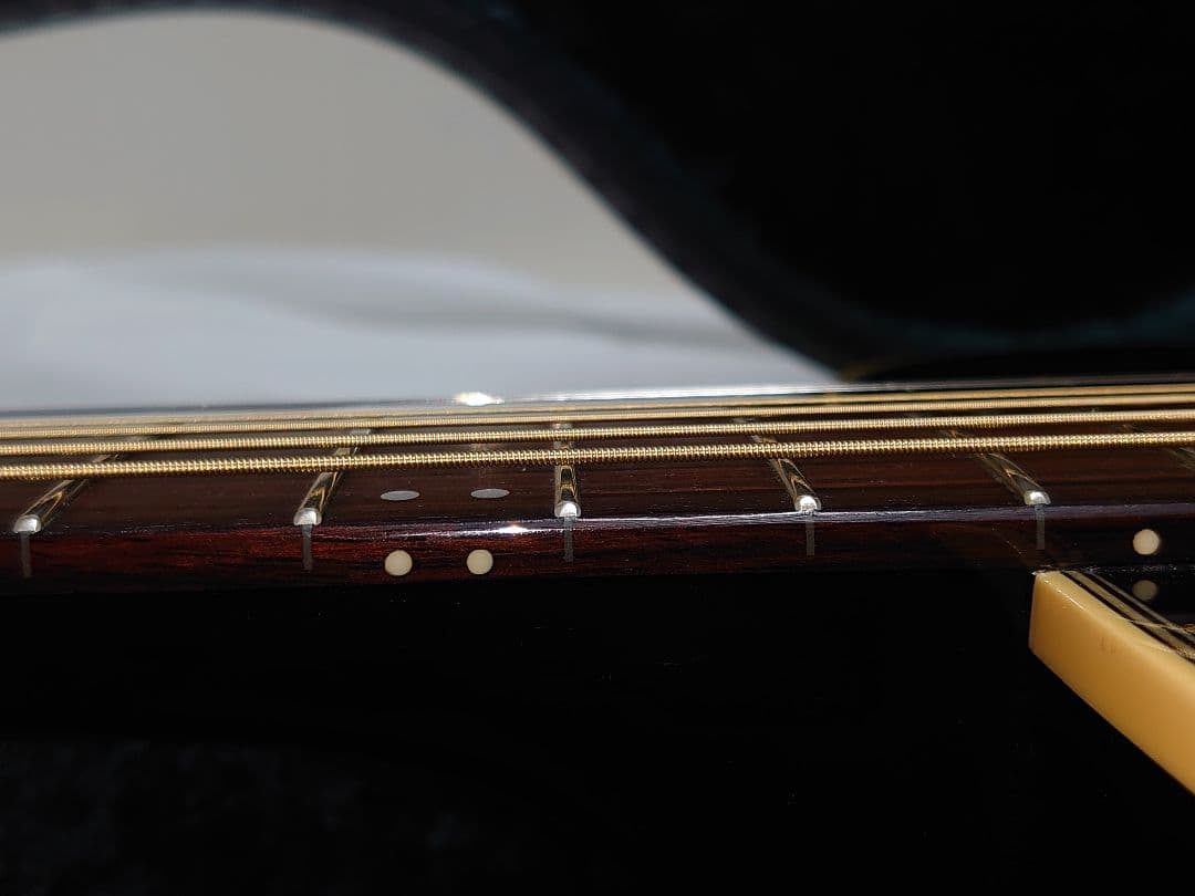 【エレアコ仕様】HISTORY NT-L4 L.R.Baggsピックアップ付