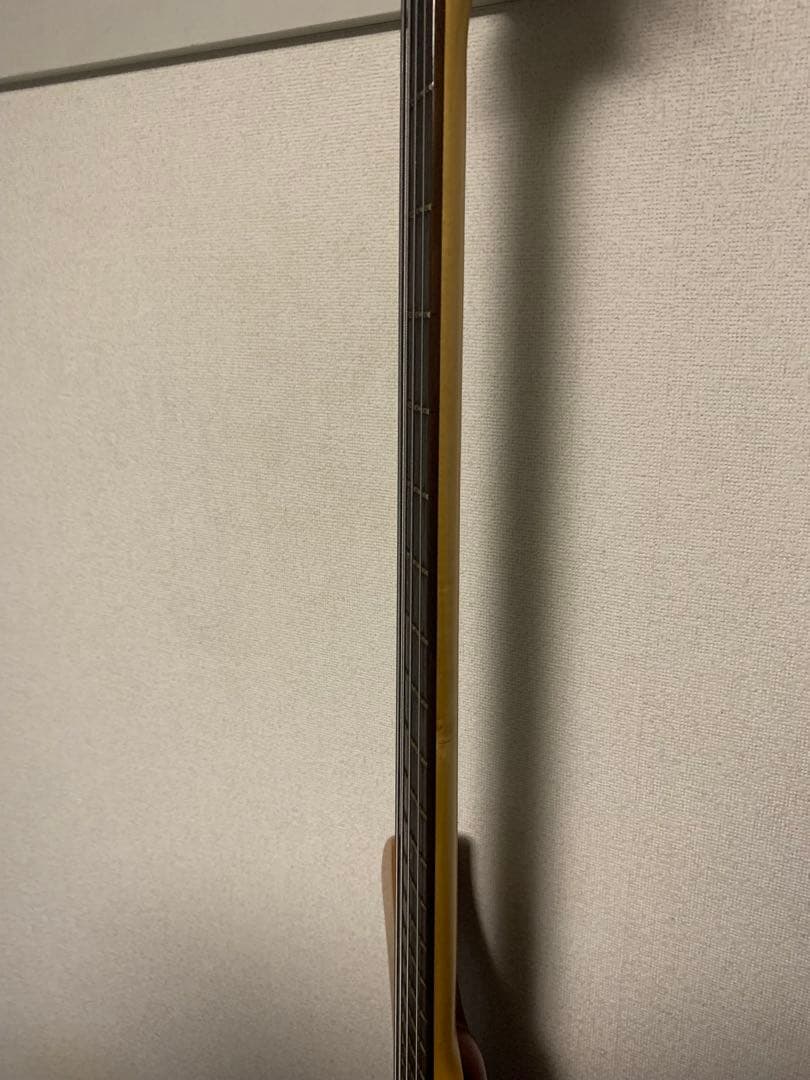 EDWARDS テツヤモデル