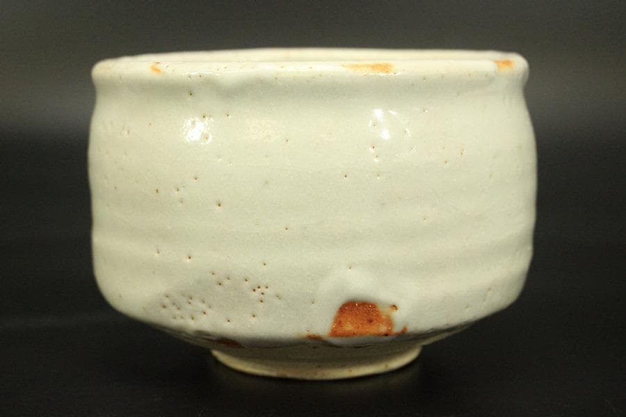 茶道具 志野茶碗 菊 泉窯 在銘 源 共箱(メ1804)