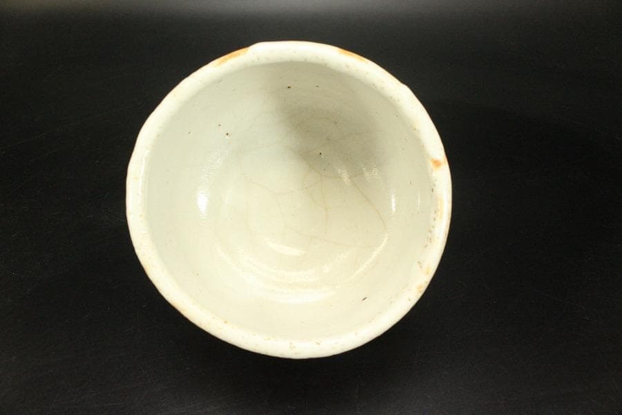 茶道具 志野茶碗 菊 泉窯 在銘 源 共箱(メ1804)