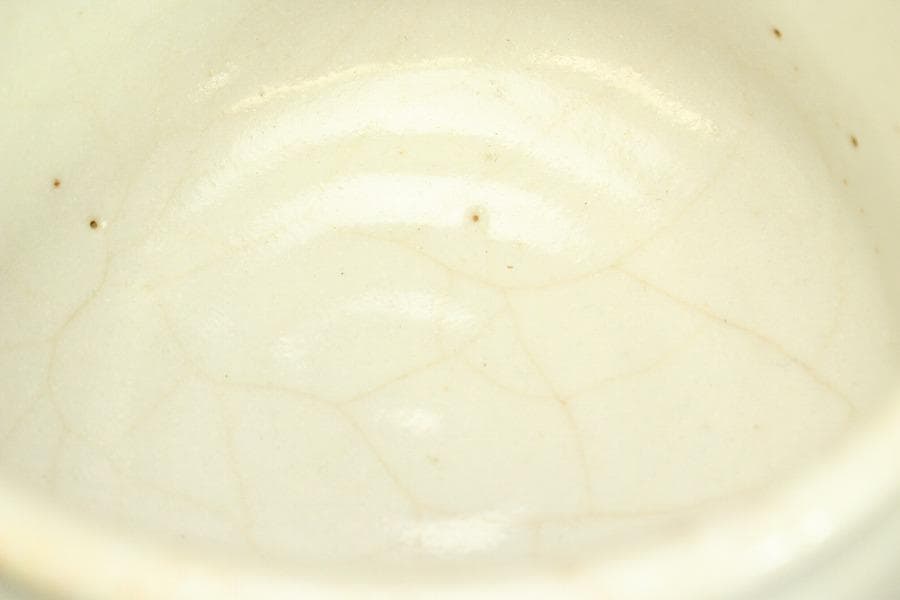 茶道具 志野茶碗 菊 泉窯 在銘 源 共箱(メ1804)