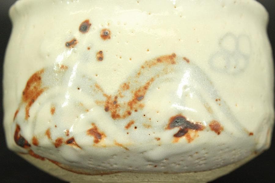 茶道具 志野茶碗 菊 泉窯 在銘 源 共箱(メ1804)