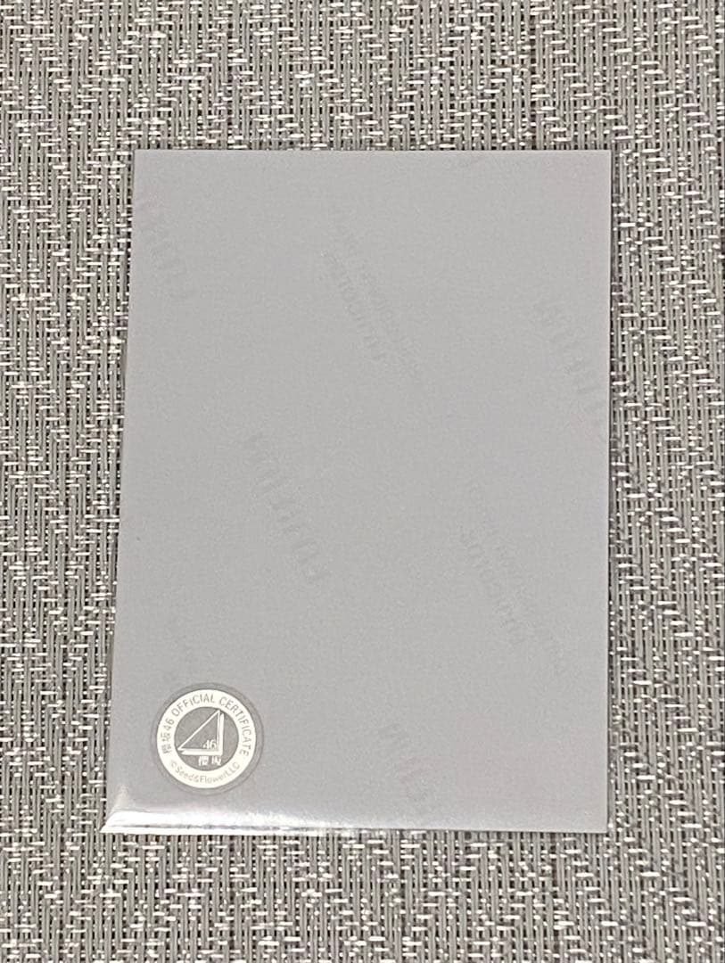 櫻坂 46 山田桃実 2025年サンタ衣装 サイン