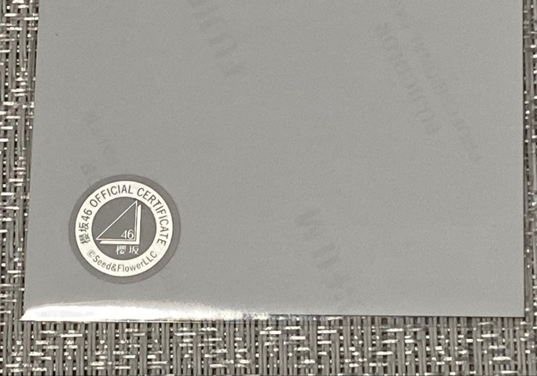 櫻坂 46 山田桃実 2025年サンタ衣装 サイン