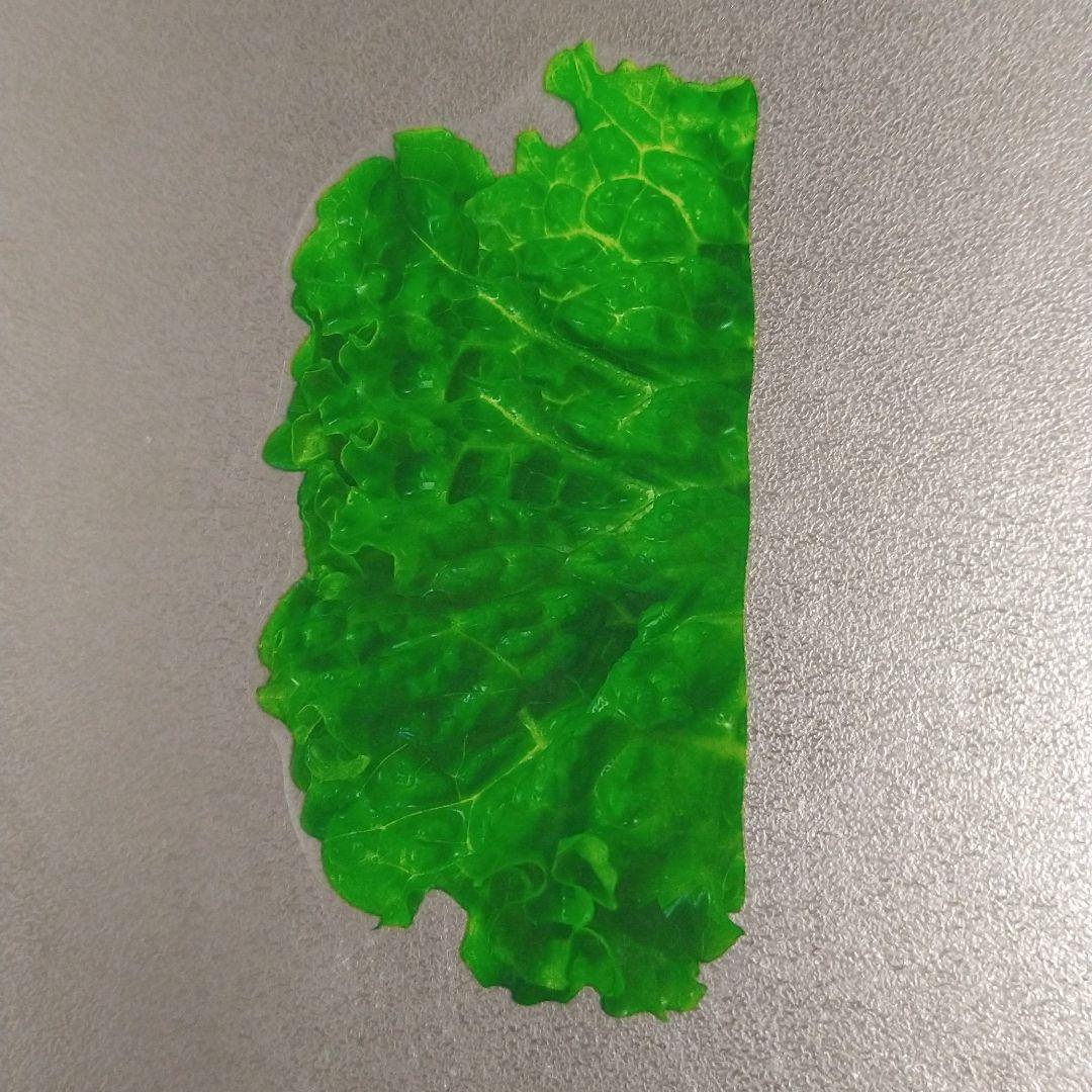 グルメシート①