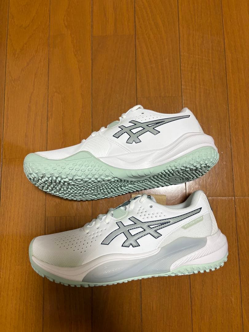 ASICS GEL-CHALLENGER 15 OC (オーム・クレー)