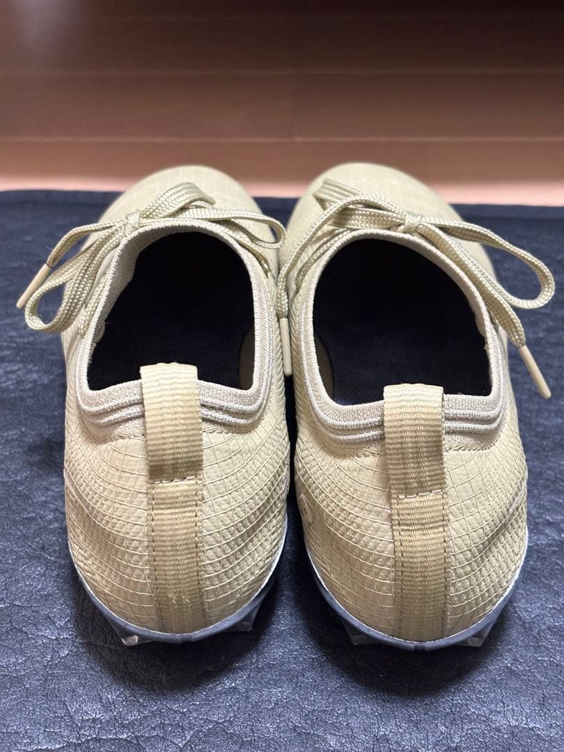 Stone  × New Balance Furon v8