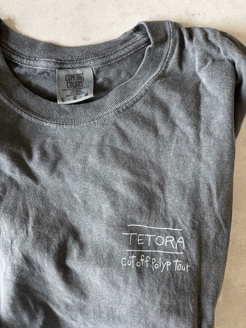 1度着用:【TETORA】 【テトラ】Tシャツ ブラック グレー Lサイズ