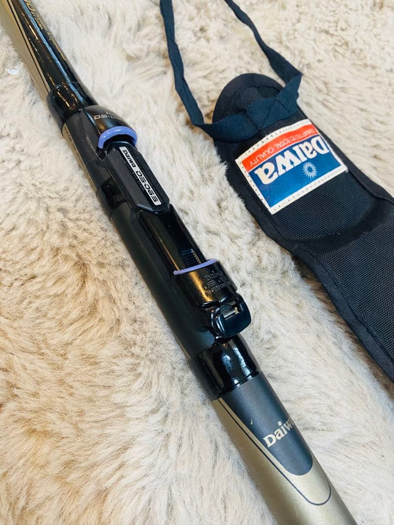 Daiwa 飛竜　ヘチ　2-210