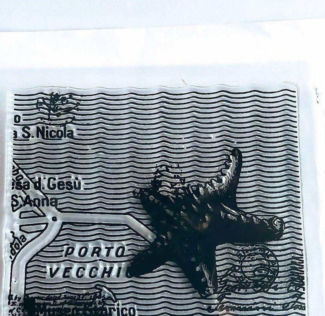 (223)【海外製 】クリアスタンプ シーサイドマップ ヒトデ 貝コラージュ細長