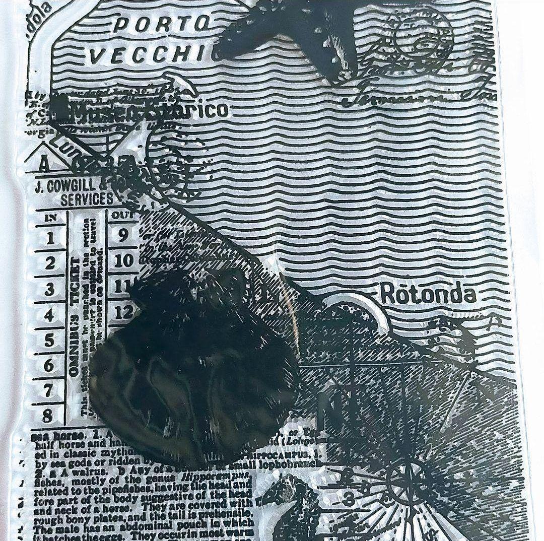 (223)【海外製 】クリアスタンプ シーサイドマップ ヒトデ 貝コラージュ細長