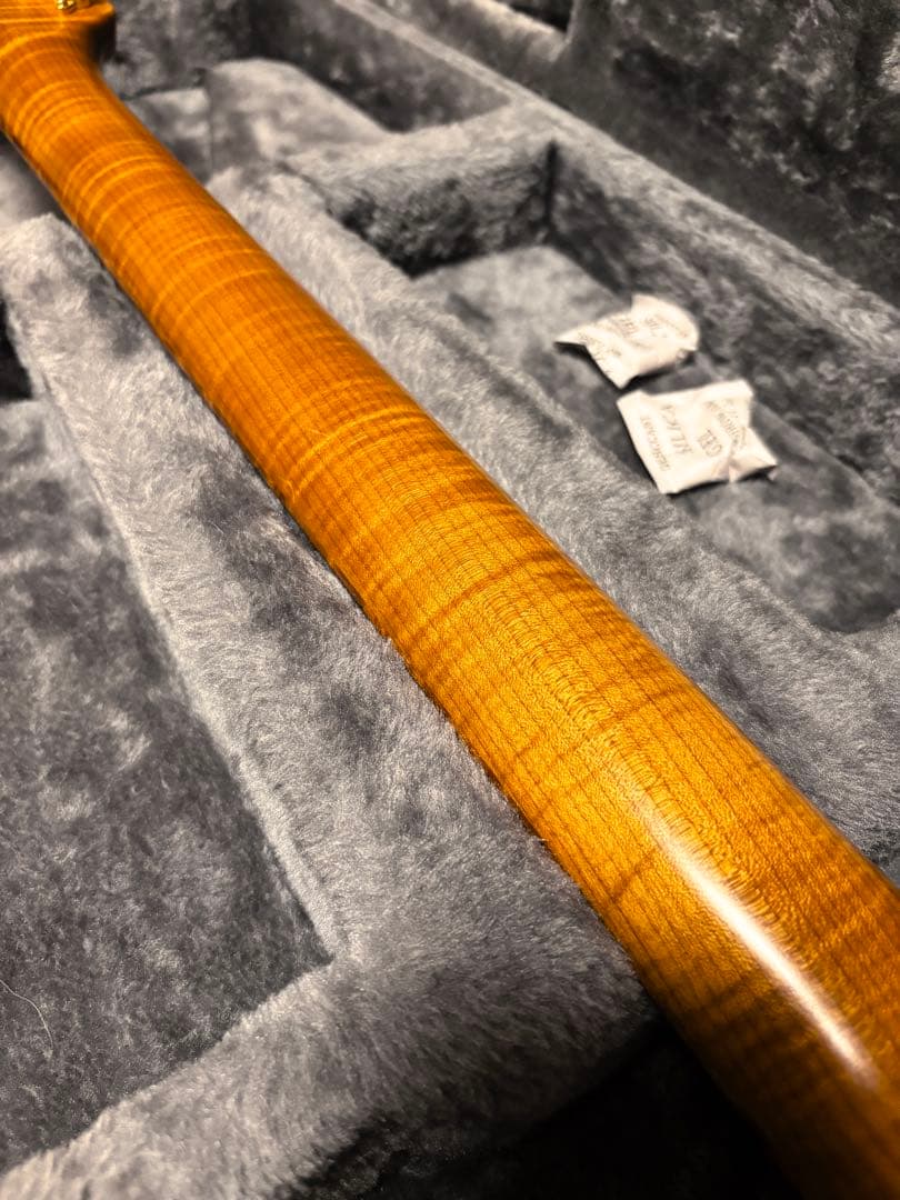 ギター Addictone Custom Guitars HSH