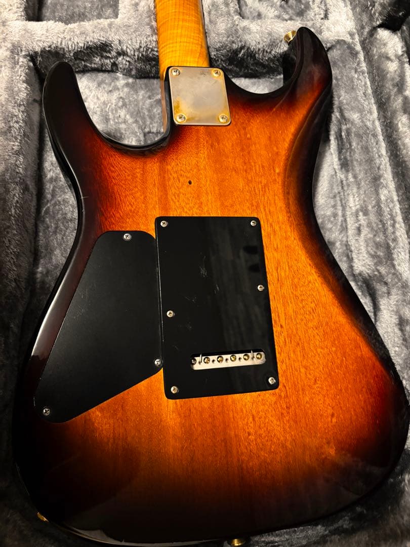 ギター Addictone Custom Guitars HSH