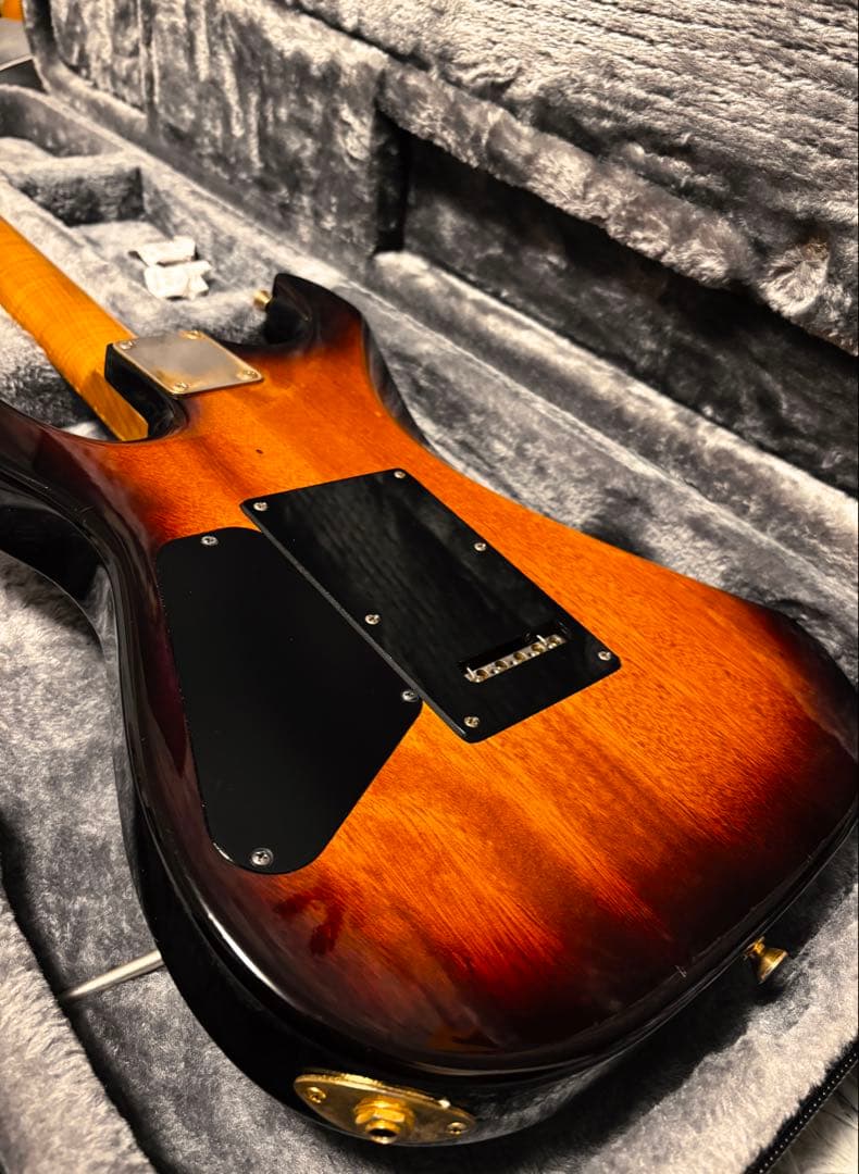 ギター Addictone Custom Guitars HSH