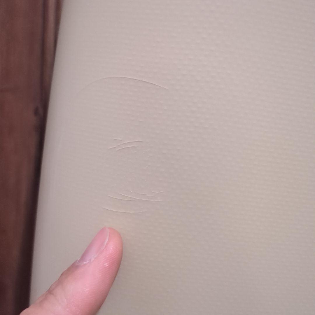 TappyRecord　5'8 GLASS FISH タッピーレコード　ツイン