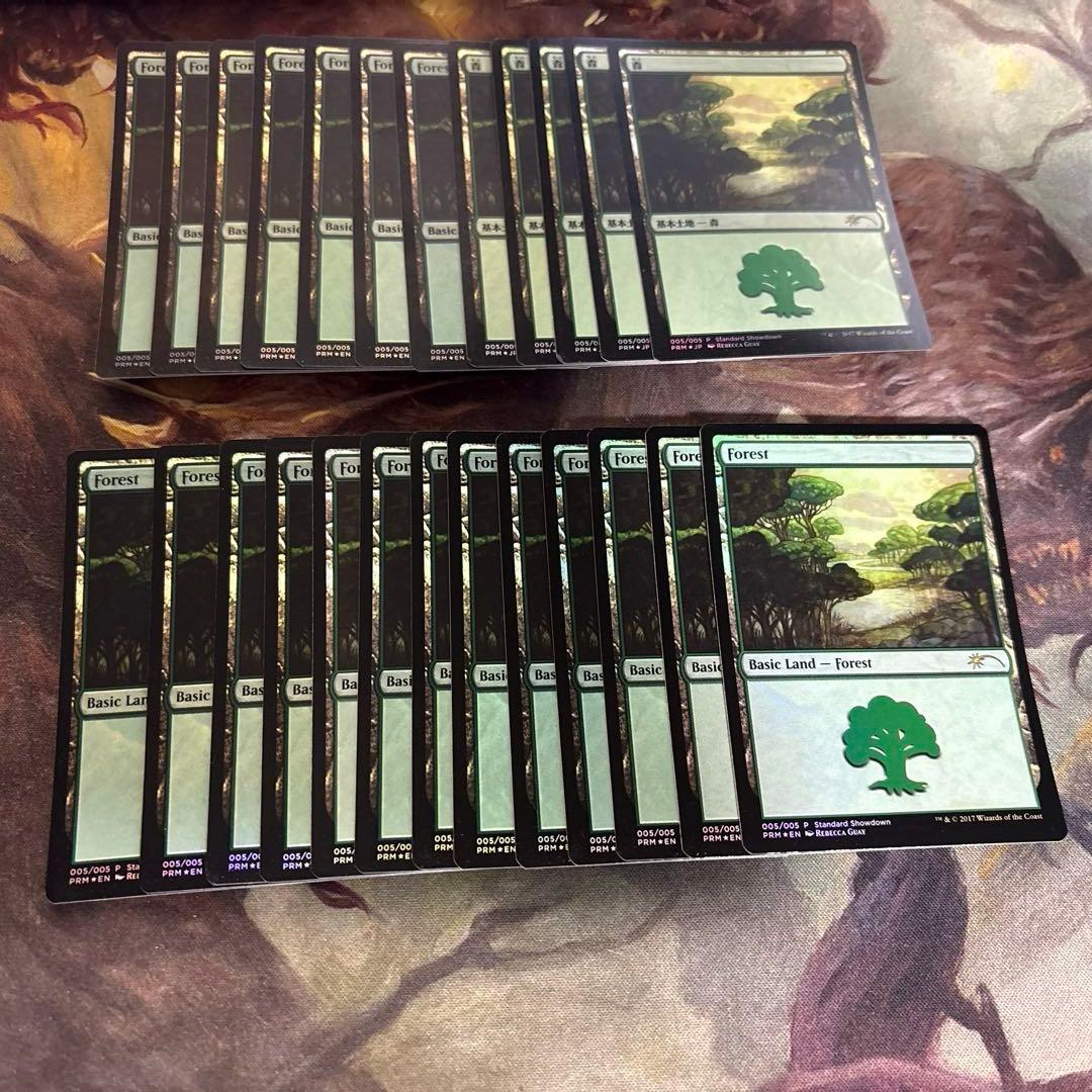 MTG 基本土地 森 rebecca guay レベッカゲイ