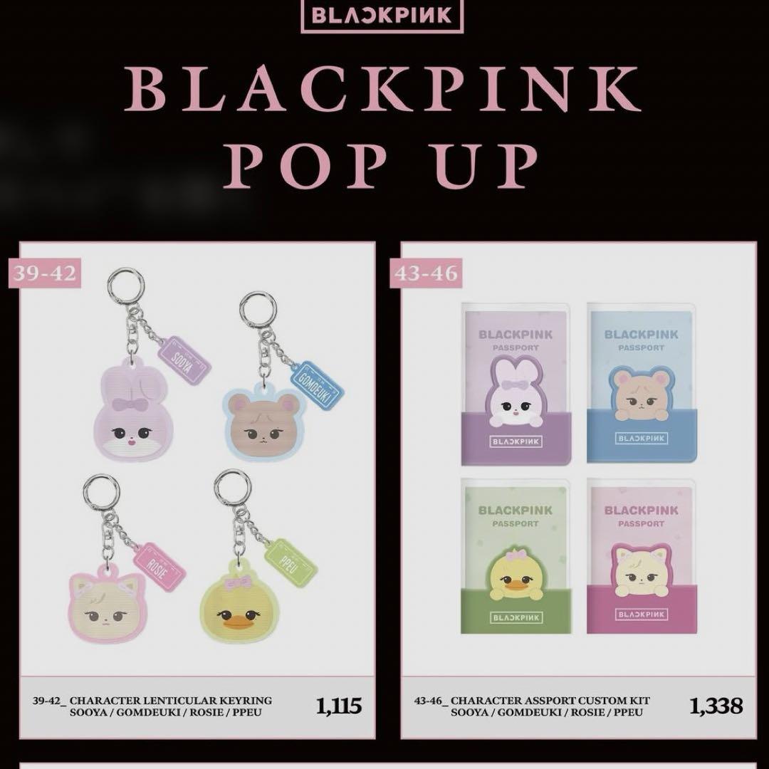 BLACKPINK JENNIE GOMDEUKI パスポートケース　新品未使用