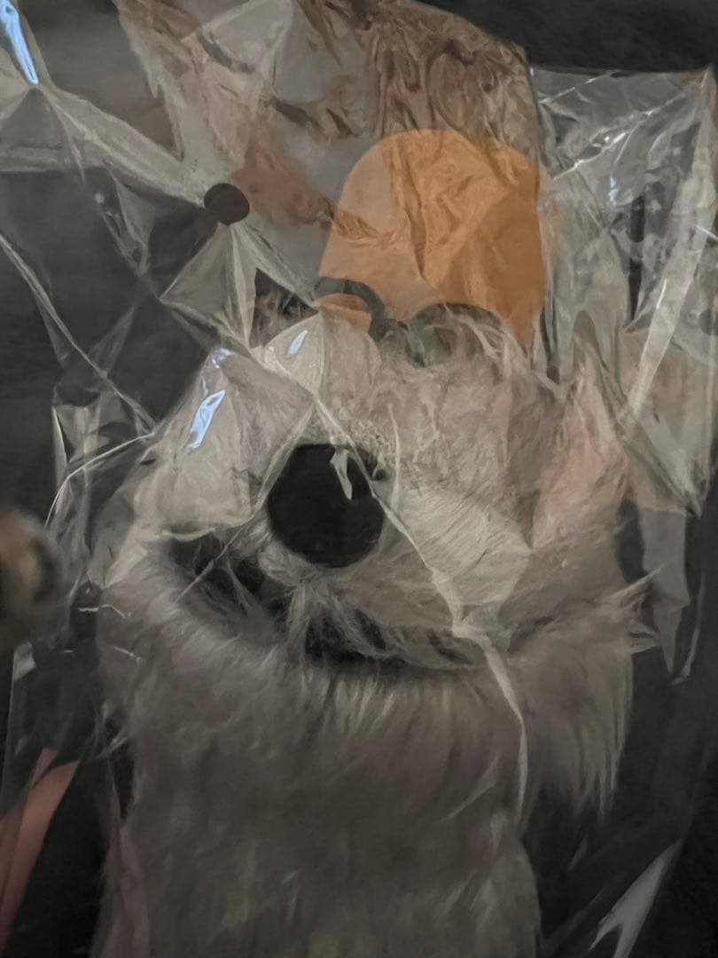 パペットスンスン ポップアップ キャンディストア おまけ付き お顔厳選 ゾンゾン