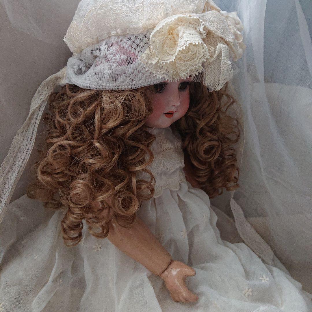 ルイス　アンバーグ　51㌢