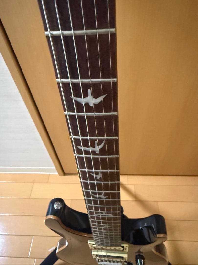 ギター PRS SE Custom24