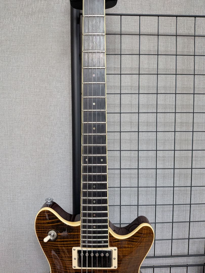 ギター T's guitars ARC-STD