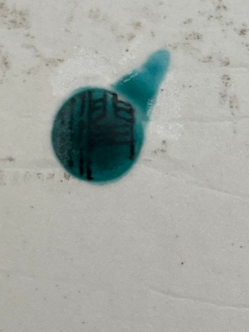 武腰潤 盛器 飾皿 『翡翠 川蝉 カワセミ』 共箱 共布 陶歴付 管理K361