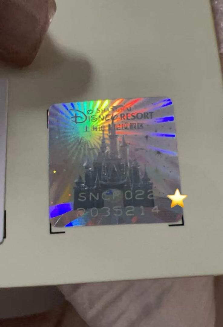 即日❣️5214 上海ディズニー　お誕生日　リーナベル　ぬいぐるみSS