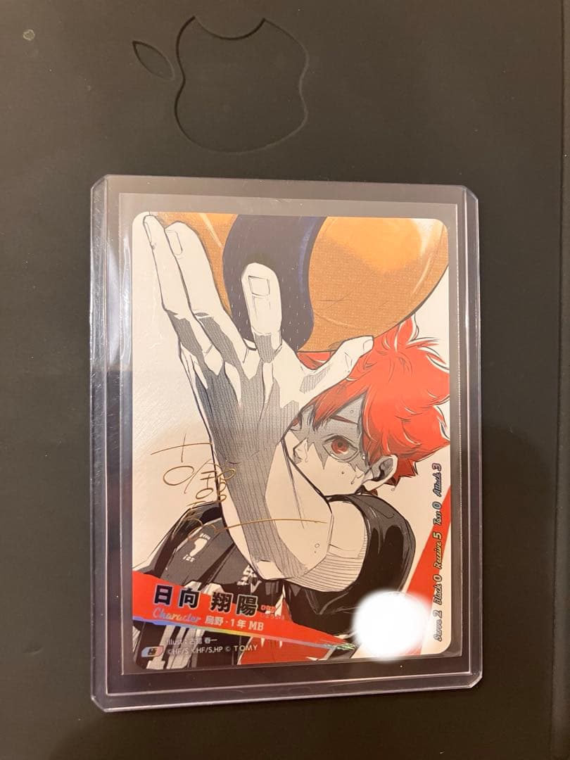 ハイキュー!! 日向翔陽 トレーディングカード バボカ　サイン入り