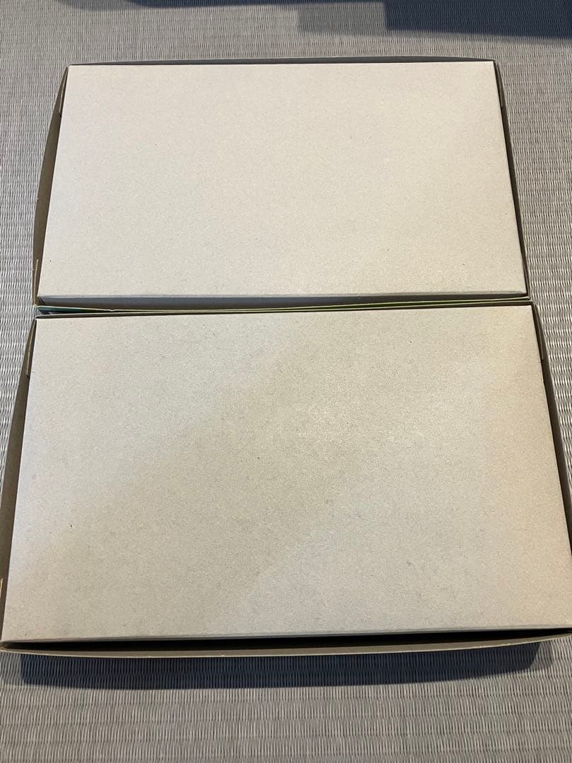 ミニ四駆　ガンブスターXTO フィリピンスペシャル　2点