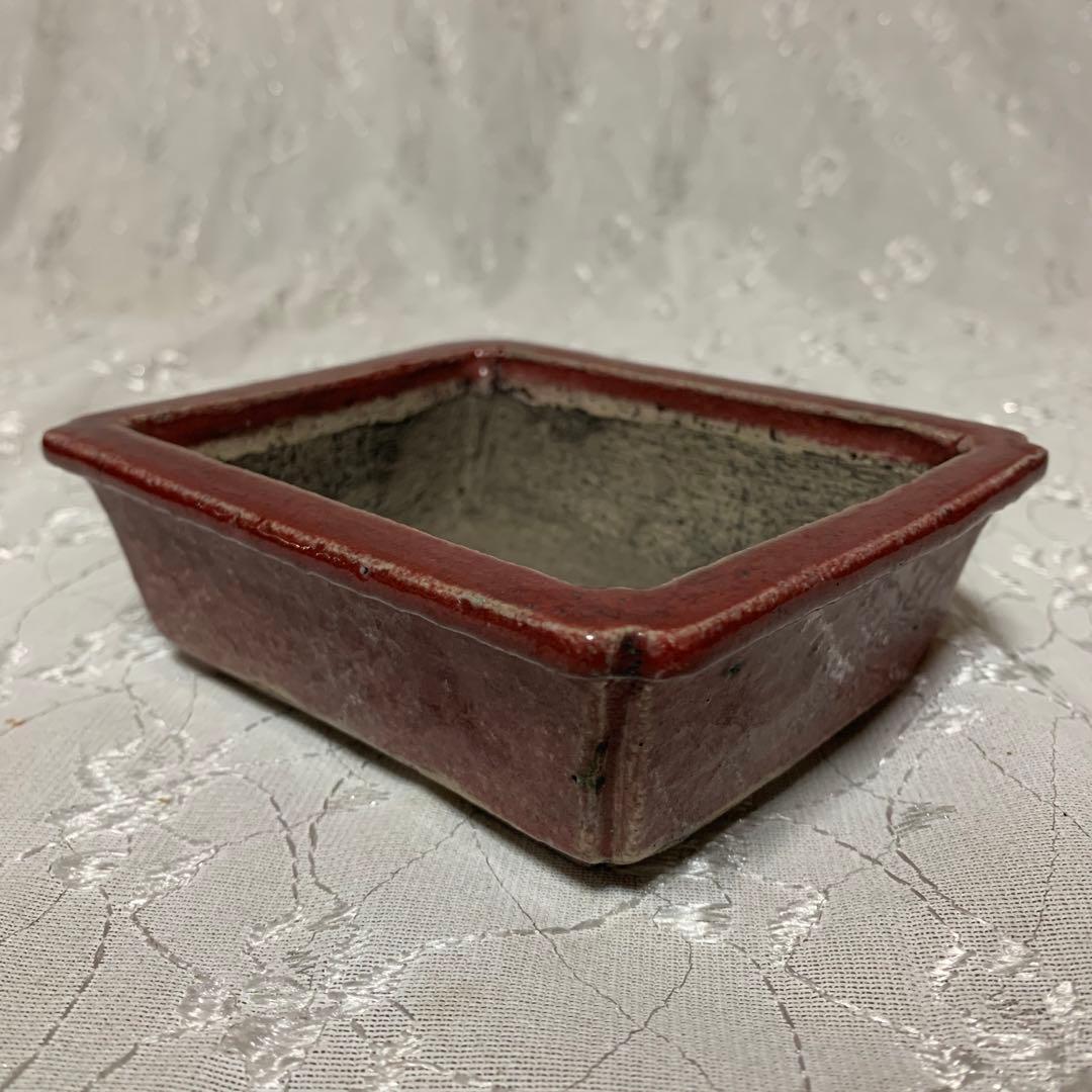 忠寛　盆栽鉢　長方　朱色